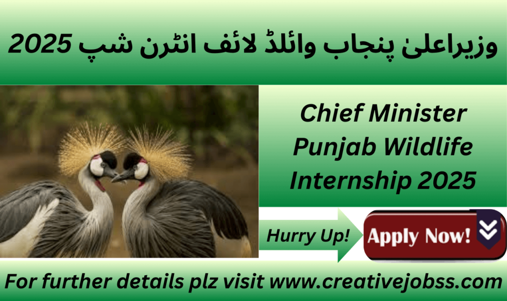 Chief Minister Punjab Wildlife Internship 2025