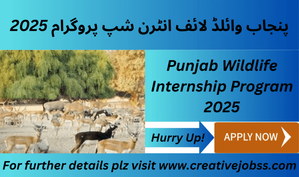 Punjab Wildlife Internship Program 2025 offers fresh graduates paid internship in wildlife conservation, zoo management, and animal care.