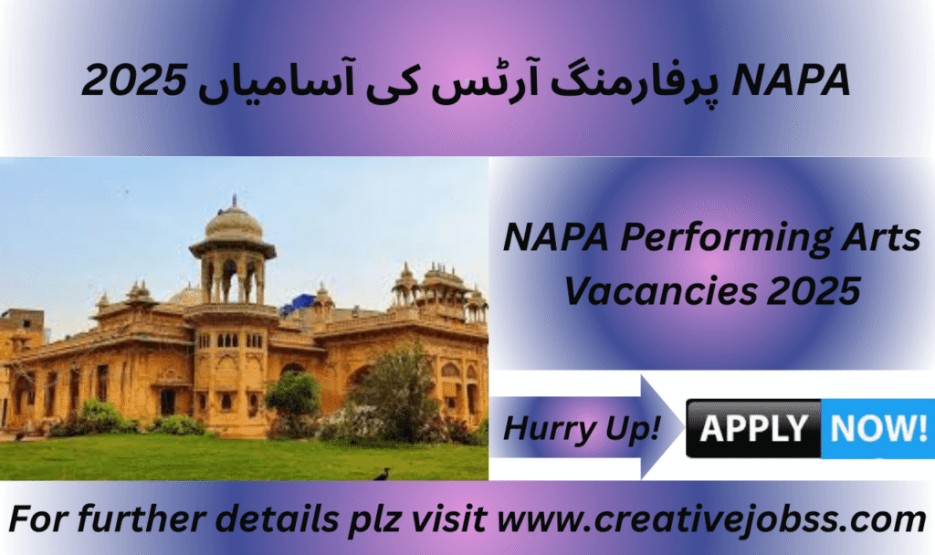Academic coordinator vacancy at NAPA in Karachi