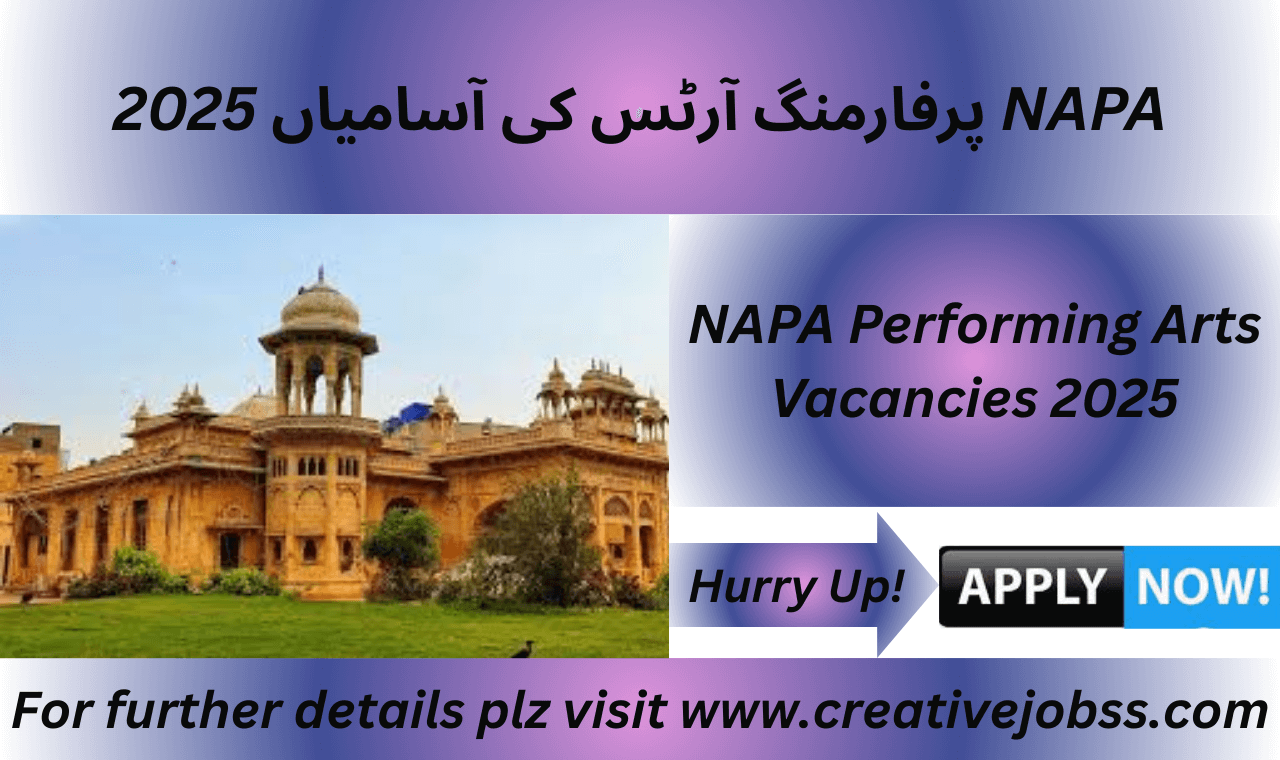 Academic coordinator vacancy at NAPA in Karachi