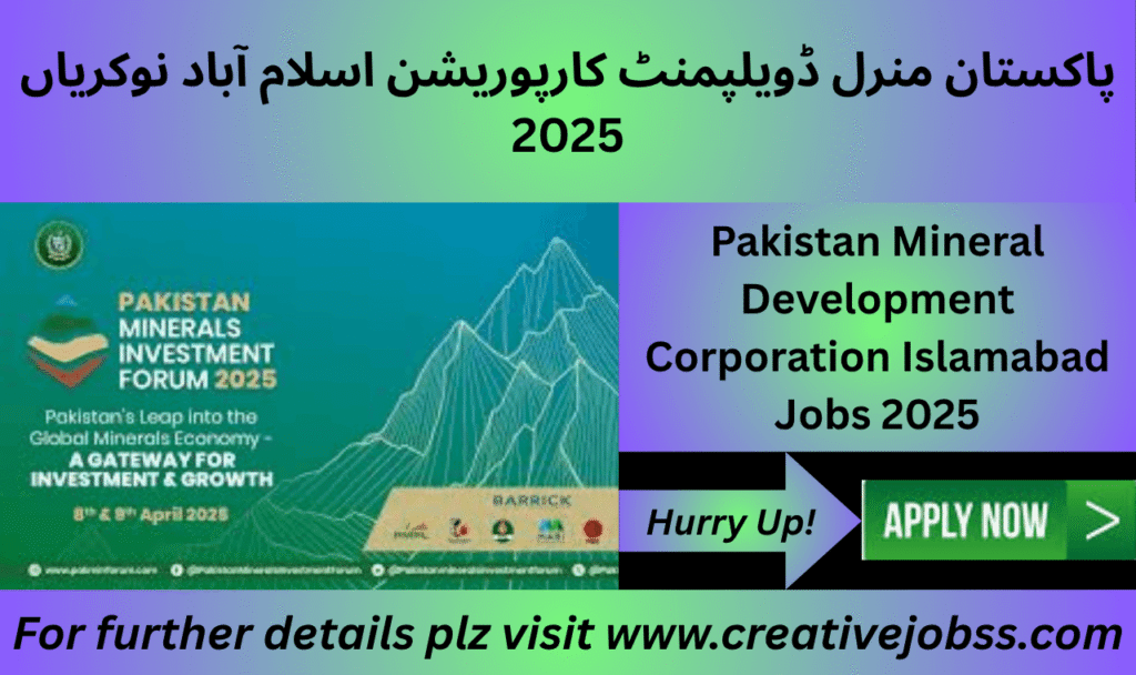 Management trainee team working at Pakistan Mineral Development Corporation office in Islamabad

